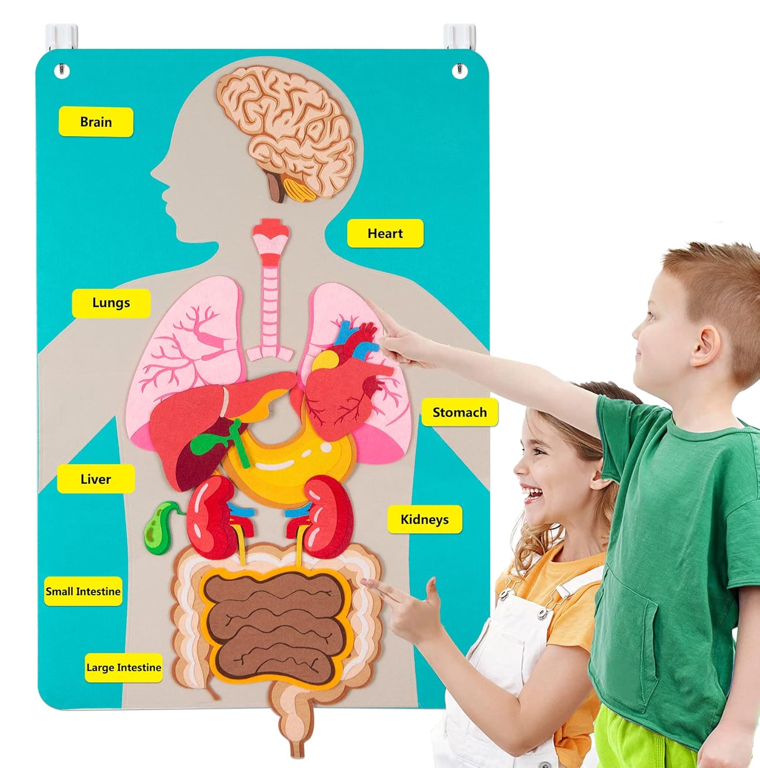 Kids Education Activities - أجزاء جسم الإنسان قصص لوحية للأطفال